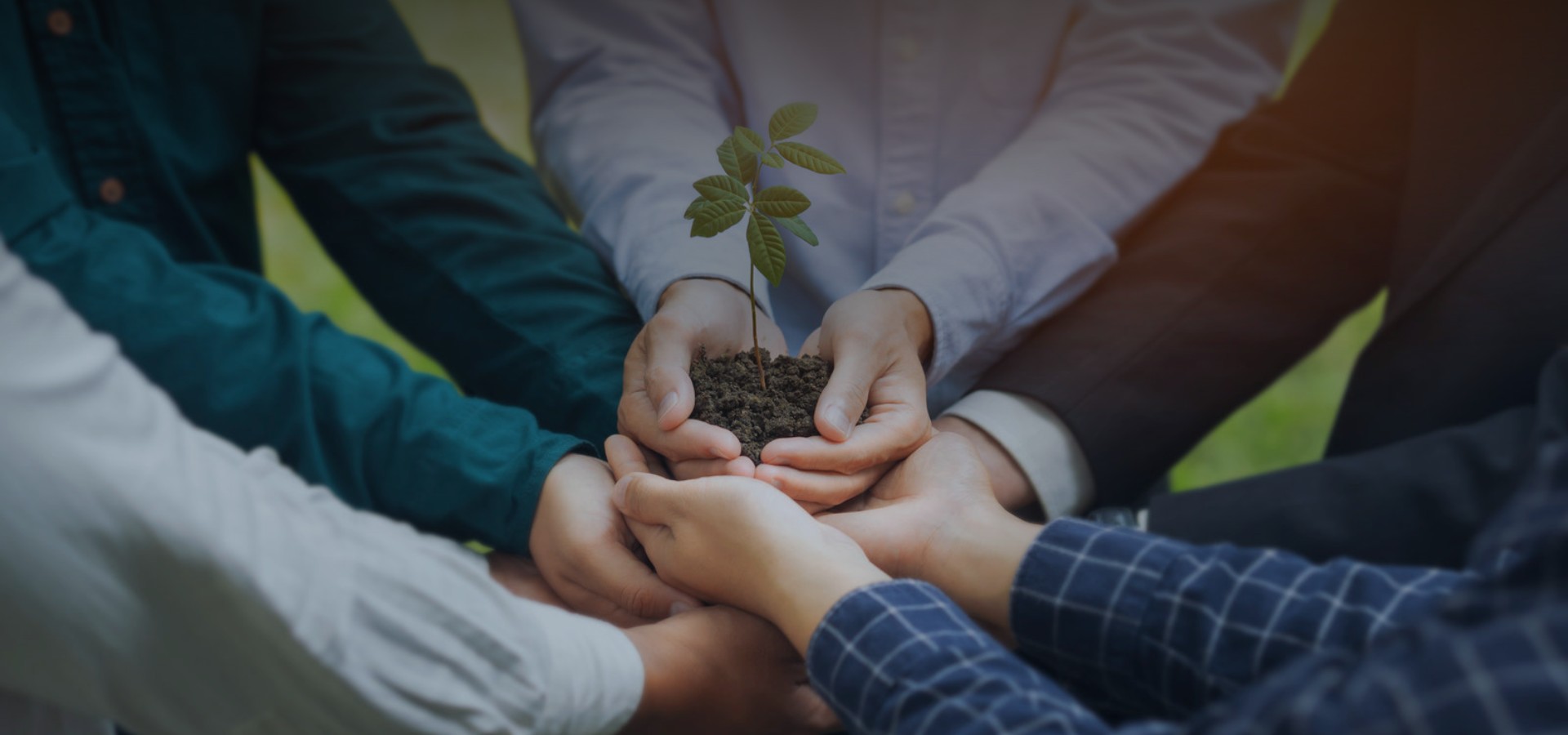 APL生态合作同伴打算